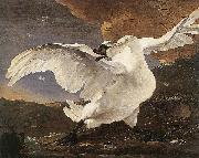 The Threatened Swan before 1652